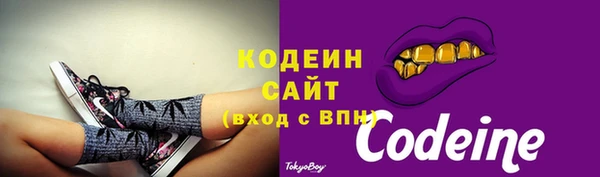 шишки Баксан