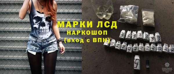 шишки Баксан