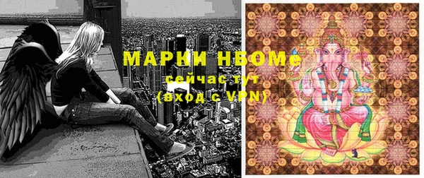 шишки Баксан